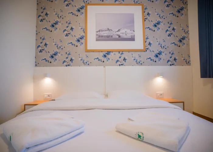 Elfa-apartments * زلاتيبور